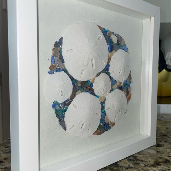 Sand Dollar Collage Beach Tropical Coastal Shadowbox - Picture 4 of 5